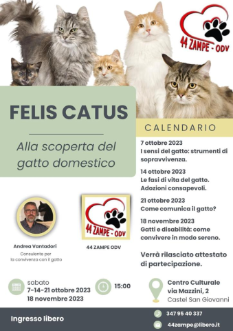 "Felis Catus" Alla scoperta del gatto domestico